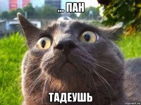 ... пан тадеушь