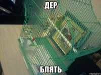 дер блять