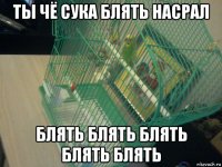 ты чё сука блять насрал блять блять блять блять блять