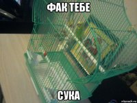 фак тебе сука