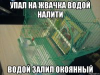 упал на жвачка водой налити водой залил окоянный