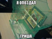 я опоздал гриша