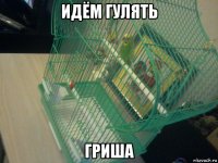 идём гулять гриша