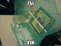 гы хуй