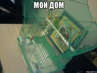 мой дом 