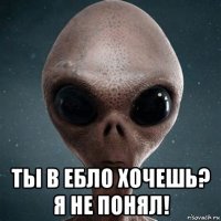  ты в ебло хочешь? я не понял!