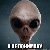  я не понимаю!