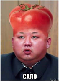  сало