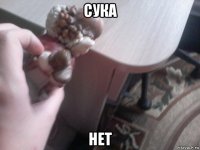 сука нет