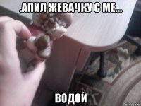 .апил жевачку с ме... водой