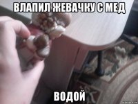 влапил жевачку с мед водой
