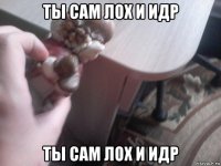 ты сам лох и идр ты сам лох и идр