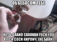 объебосом тебе нето-grand caravan fuck you bitch соси кирпич. (не баян)