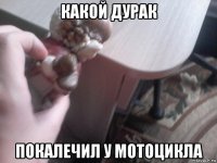 какой дурак покалечил у мотоцикла