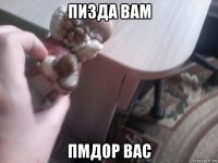 пизда вам пмдор вас