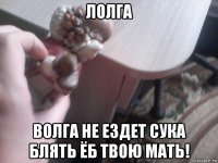 лолга волга не ездет сука блять ёб твою мать!
