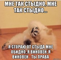 мне так стыдно, мне так стыдно... я сгораю от стыда мне обидно, я виновен, я виновен - ты права