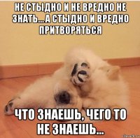 не стыдно и не вредно не знать… а стыдно и вредно притворяться что знаешь, чего то не знаешь...