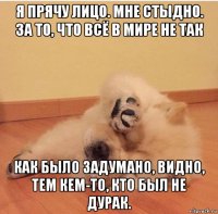 я прячу лицо. мне стыдно. за то, что всё в мире не так как было задумано, видно, тем кем-то, кто был не дурак.