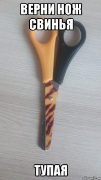 верни нож свинья тупая