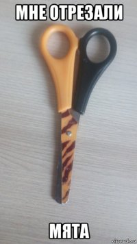 мне отрезали мята