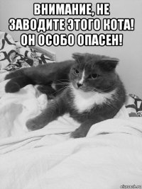 внимание, не заводите этого кота! он особо опасен! 