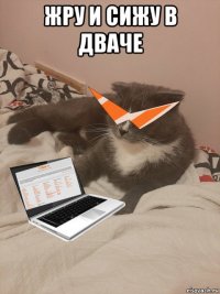 жру и сижу в дваче 