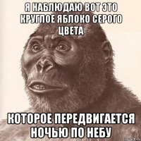 я наблюдаю вот это круглое яблоко серого цвета которое передвигается ночью по небу