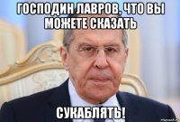 господин лавров, что вы можете сказать сукаблять!