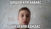 шишка или ананас шиза или адидас