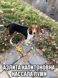  аэлита капитоновна нассала лужи
