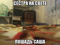 сестра на свете лошадь саша