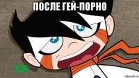 после гей-порно 