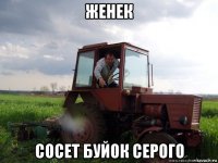 женек сосет буйок серого