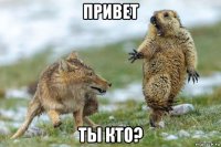 привет ты кто?