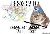 вжух нахер (когда кот напился валерьянки)