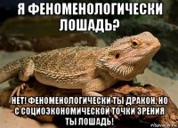 я феноменологически лошадь? нет! феноменологически ты дракон, но с социоэкономической точки зрения ты лошадь!
