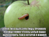  яяяя тихо вылезууу лишь проникну я в кишечниик чтоооб болью вааас напооолнить той в которой я жиивуу