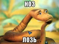 ноз лозь