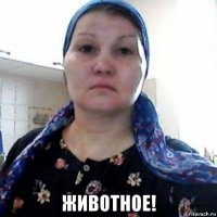  животное!