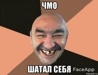 чмо шатал себя