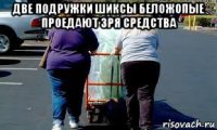 две подружки шиксы беложопые проедают зря средства 