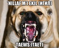'nillaf m'i ekil (игил) taews (тает)