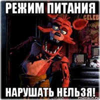 режим питания нарушать нельзя!