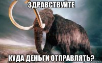 здравствуйте куда деньги отправлять?