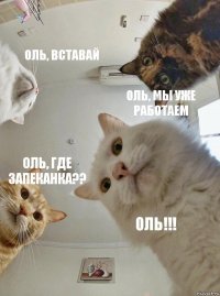 Оль, вставай Оль, мы уже работаем Оль, где запеканка?? ОЛЬ!!!