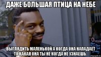 даже большая птица на небе выглядить маленькой а когда она нападает то какая она ты не когда не узнаешь.