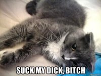  suck my dick, bitch