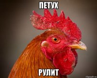 петух рулит