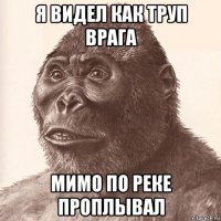 я видел как труп врага мимо по реке проплывал